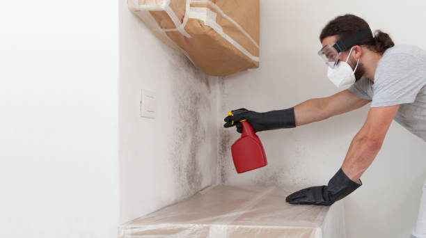 Professional Bathroom Mold Removal technician working in New Brunswick, NJ