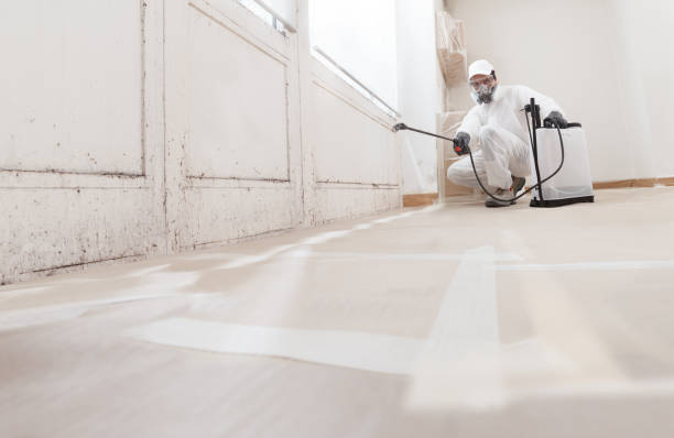 24/7 Emergency Bathroom Mold Removal experts in New Brunswick, NJ