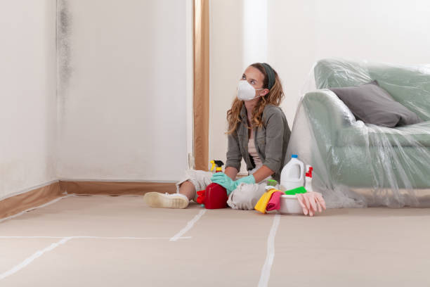 Reliable Bathroom Mold Removal contractor in New Brunswick, NJ by Mold Remediation HQ