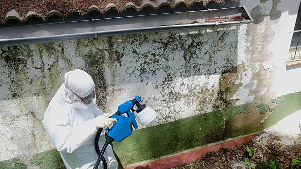 Top rated local Bathroom Mold Removal specialists in New Brunswick, NJ
